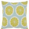 Decorative & Throw Pillows * | Saro Lifestyle Citrus Embroidered Decorative Pillow, 18 X 18 Lime